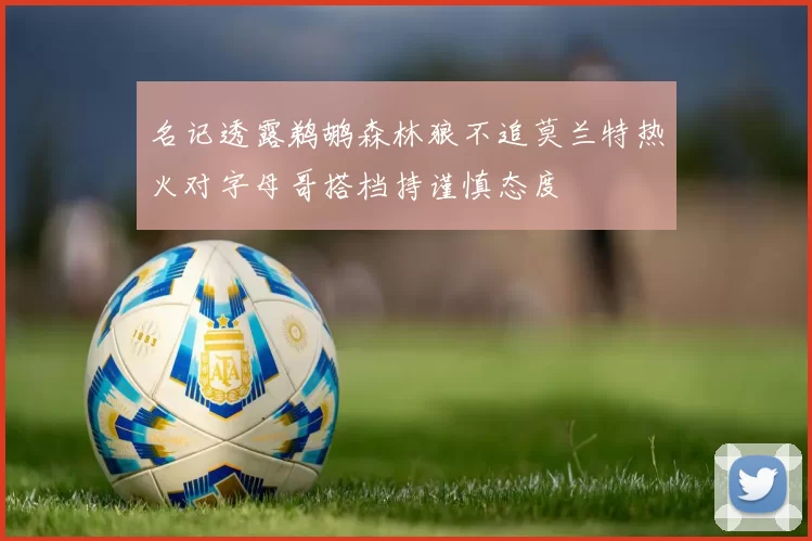 名记透露鹈鹕森林狼不追莫兰特热火对字母哥搭档持谨慎态度
