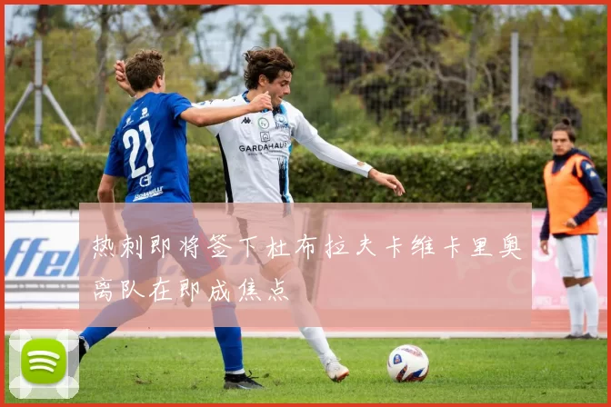 热刺即将签下杜布拉夫卡维卡里奥离队在即成焦点
