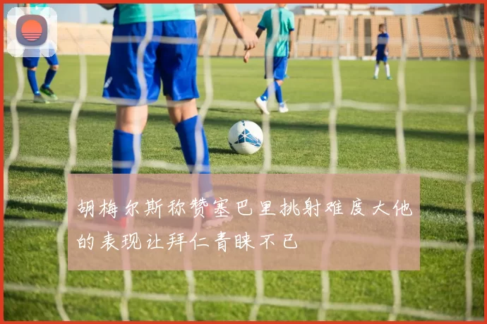 胡梅尔斯称赞塞巴里挑射难度大他的表现让拜仁青睐不已